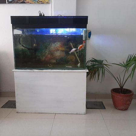 Hotel Lake N Yeti بوكْرا المظهر الخارجي الصورة